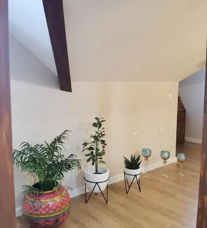 Mitra Luxury Apartmán