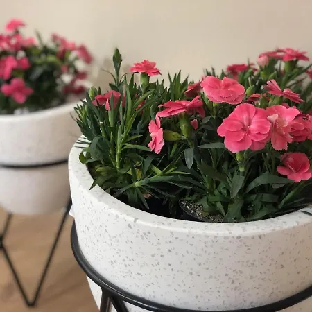 Mitra Luxury Appartamento Shumen